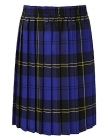 Tartan Skirt